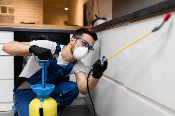 Trusted St Joseph, MO Pest Control Experts
