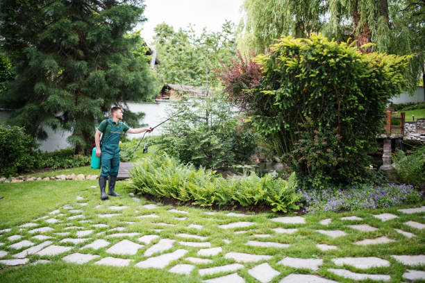 Best Commercial Pest Control Services  in St Joseph, MO