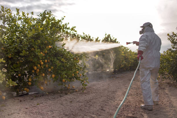 Pest Control Cost in St Joseph, MO