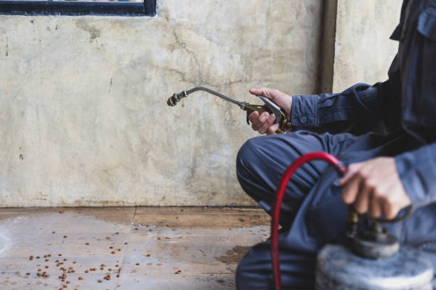Best Rat Extermination Near Me  in St Joseph, MO